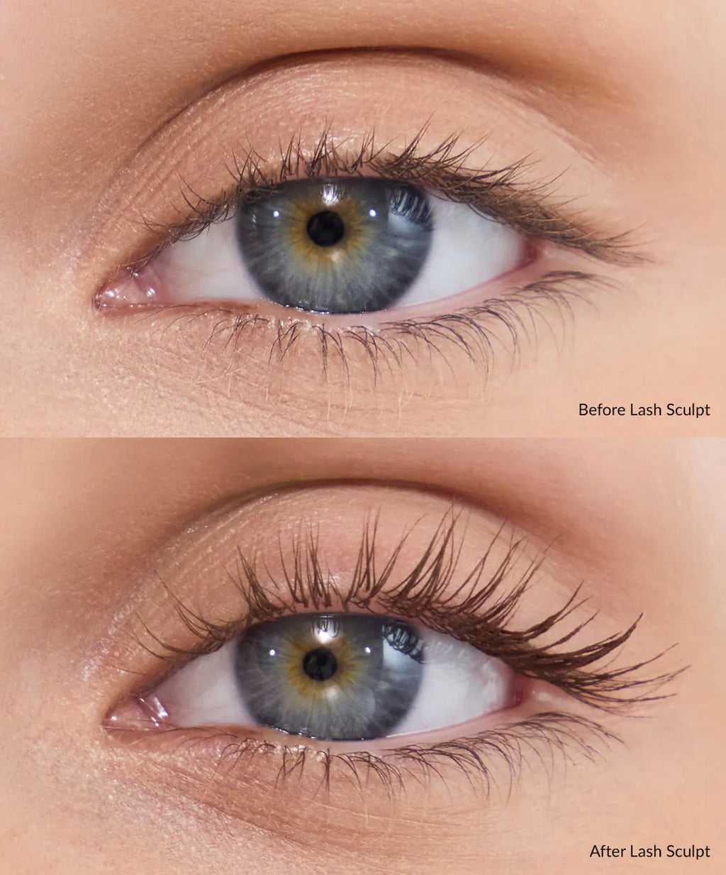 Lash Sculpt